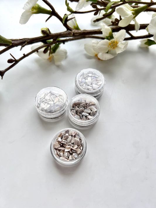 Muschelsplitter mit Glitzer