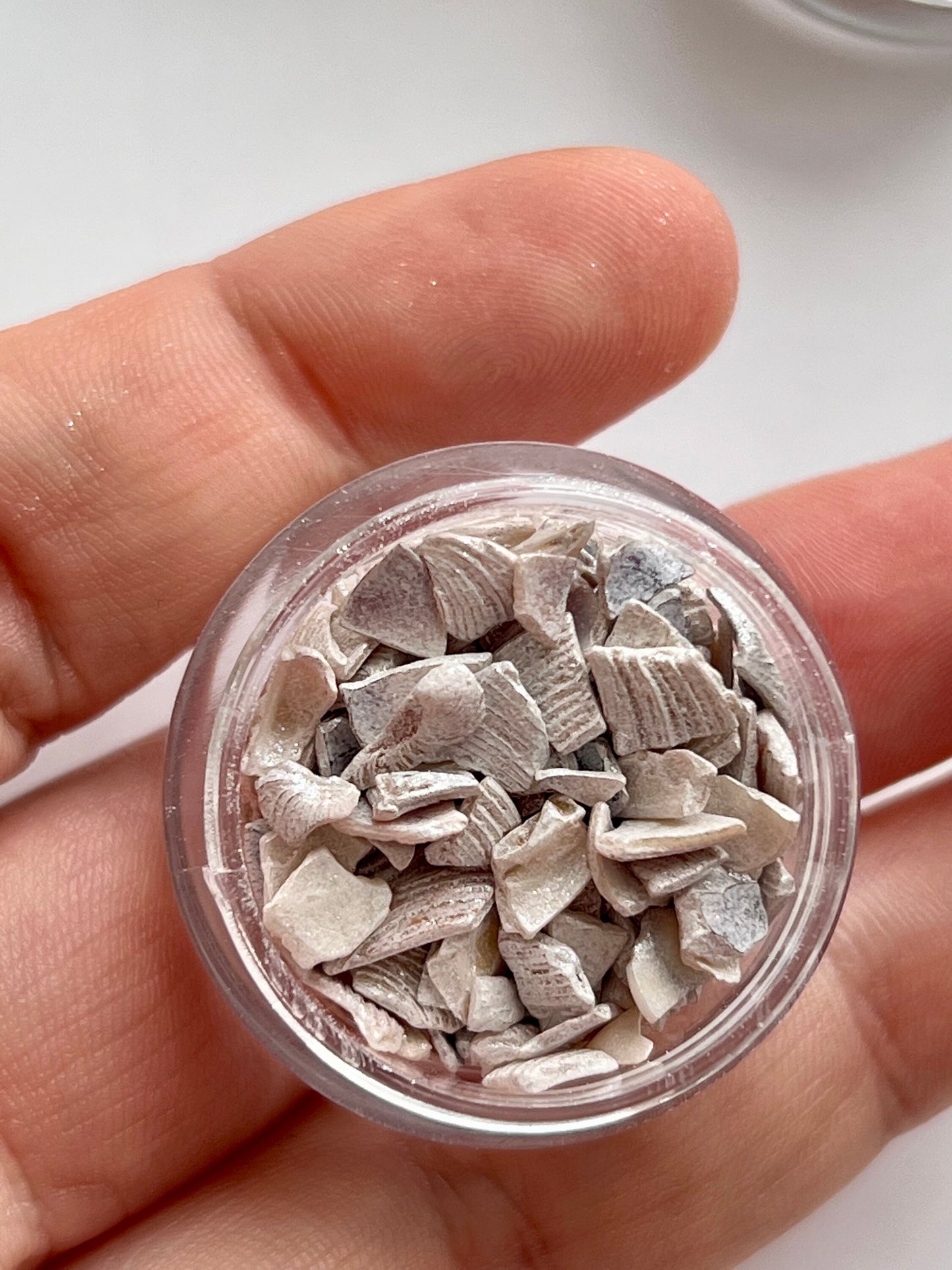 Muschelsplitter mit Glitzer