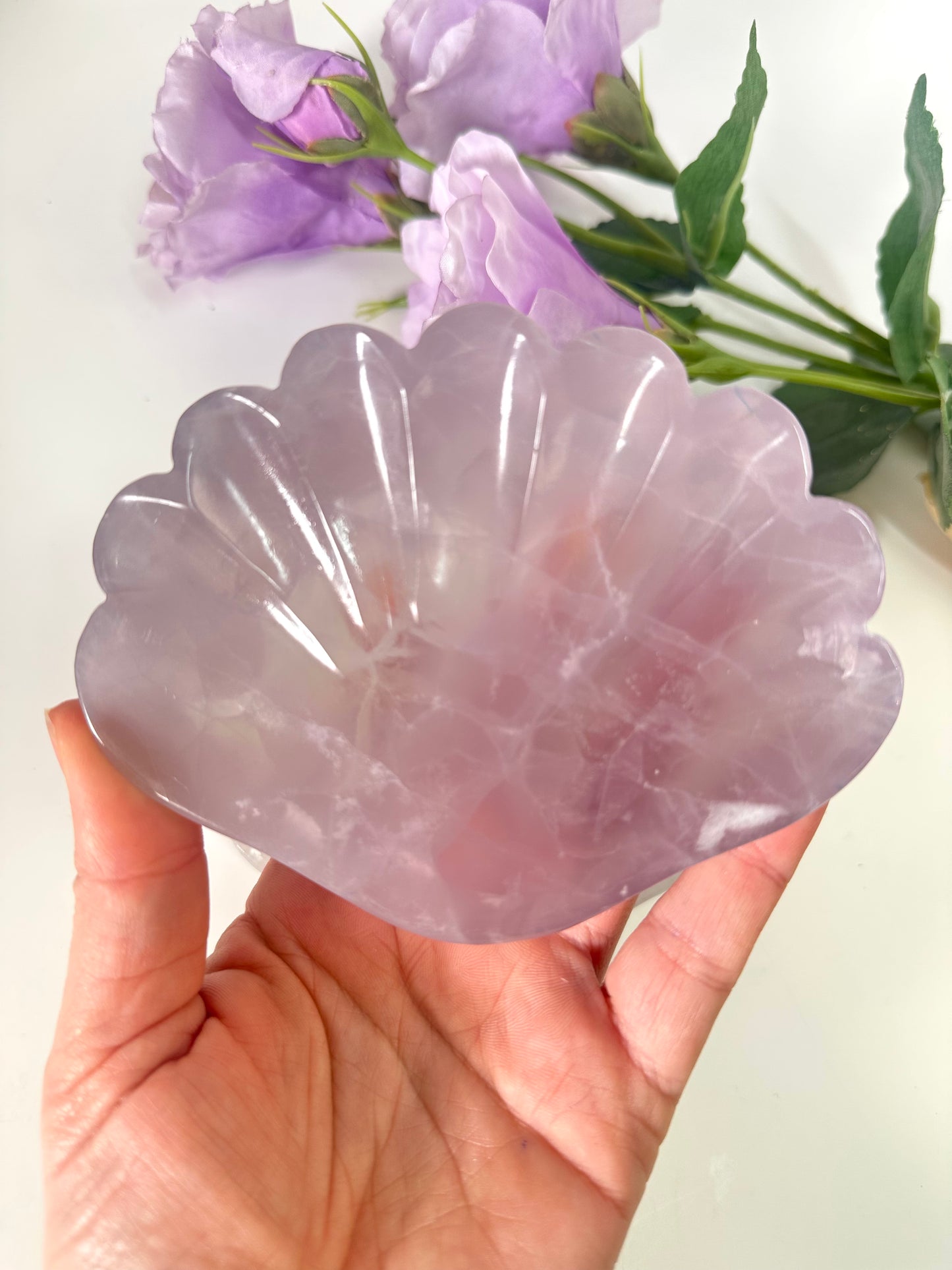 Lavendel Fluorit Muschel Schale