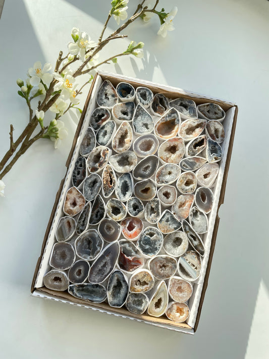 Achat Geode /Glücksgeode