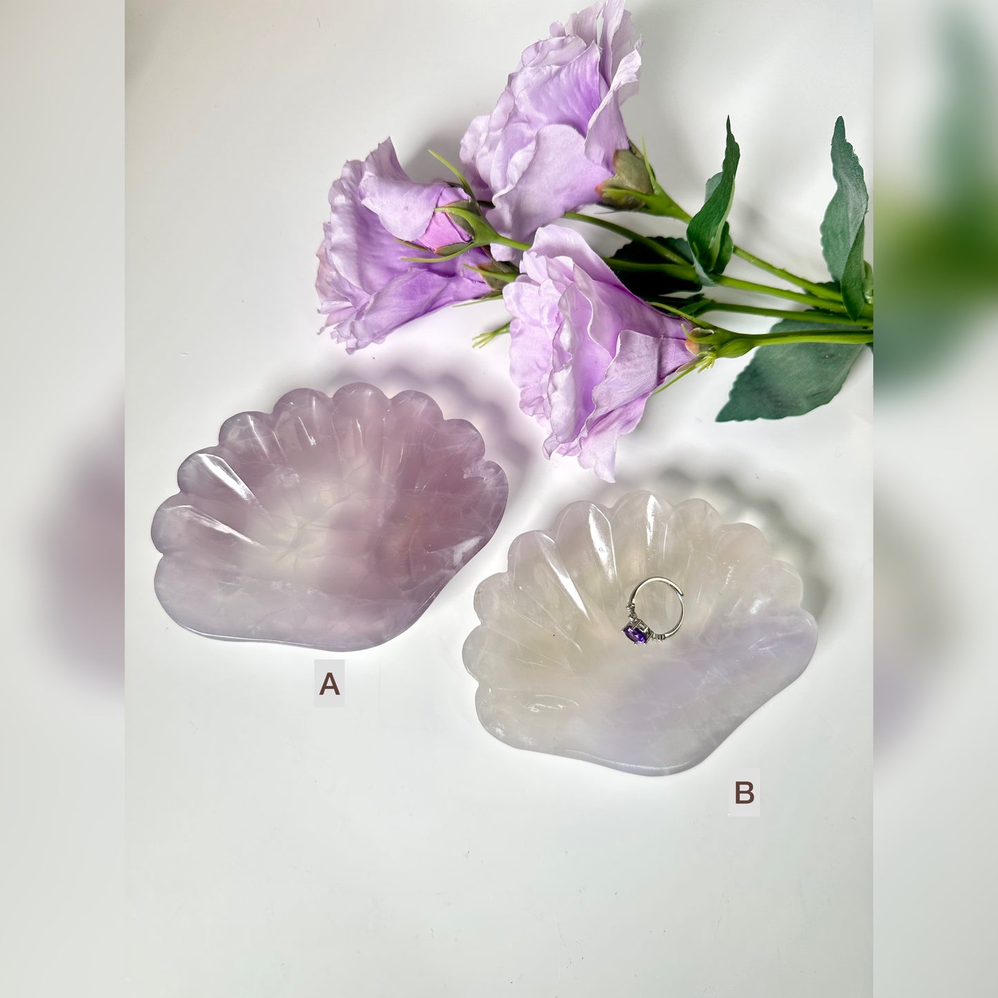 Lavendel Fluorit Muschel Schale